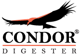 Condor 