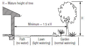 Tree Height Diagram